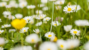 Spring freshness: how to bring spring into your shoe wardrobe