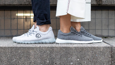 A Comparison of the Giesswein Shoe Models