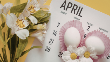 Close-up of an April calendar next to white alstroemeria flowers on a yellow background, a spring-like flat lay arrangement
